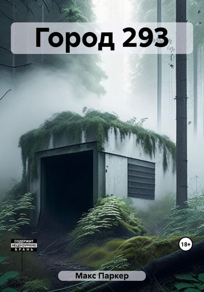 Обложка книги  «Город 293»