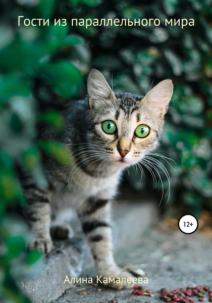 Обложка книги  «Гости из параллельного мира»