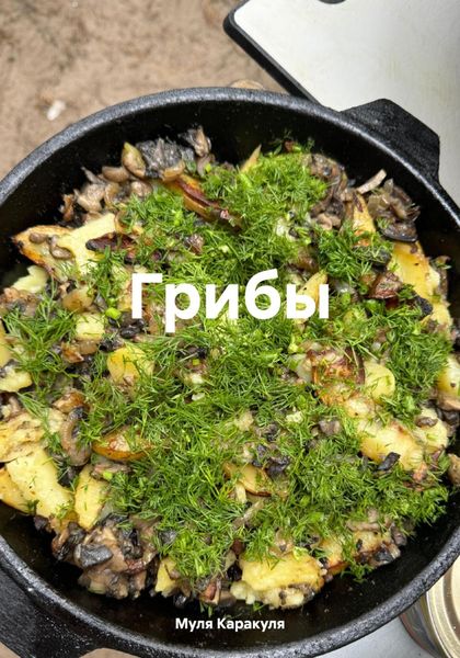 Обложка книги  «Грибы»
