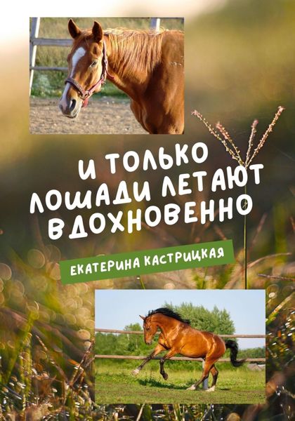 Обложка книги  «И только лошади летают вдохновенно»