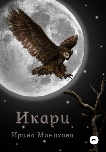 Обложка книги  «Икари»