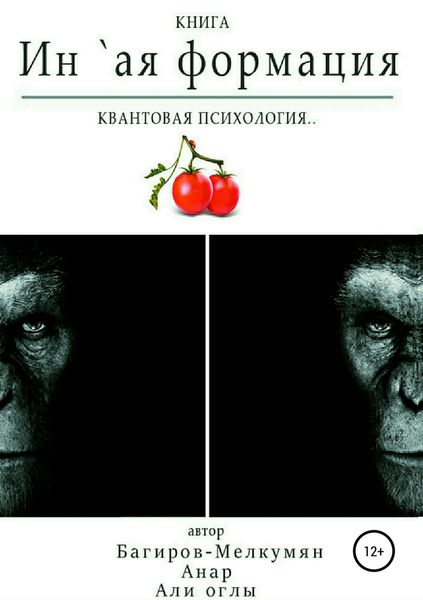 Обложка книги  «`Ин-ая формация. Квантовая психология»