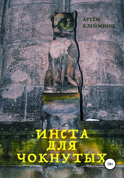 Обложка книги  «Инста для чокнутых»