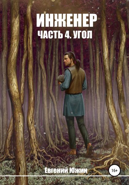 Обложка книги  «Инженер. Часть 4. Угол»