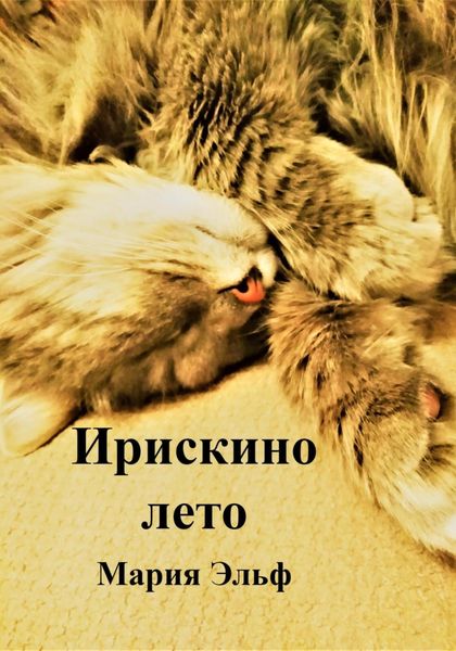 Обложка книги  «Ирискино лето»