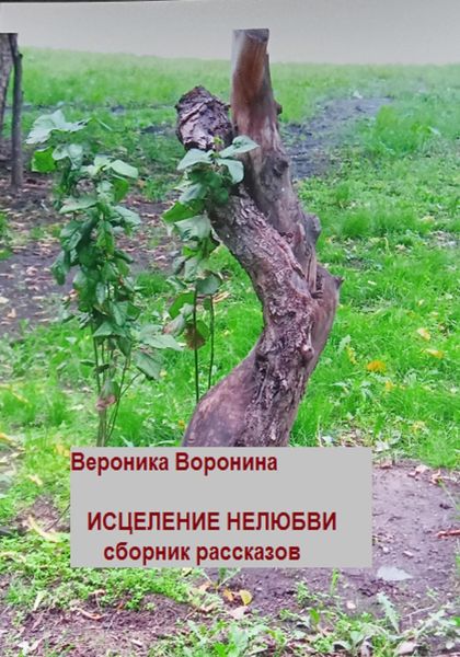 Обложка книги  «Исцеление нелюбви. Сборник рассказов»
