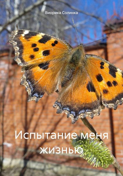 Обложка книги  «Испытание меня жизнью»