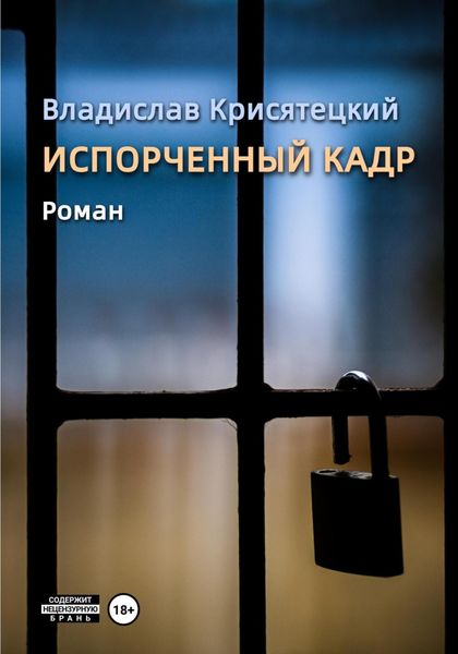 Обложка книги  «Испорченный кадр»