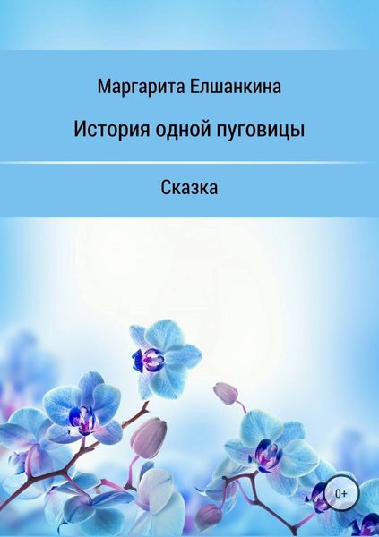 Обложка книги  «История одной пуговицы»
