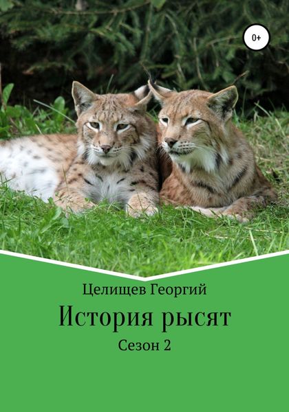 Обложка книги  «История рысят. 2 сезон»