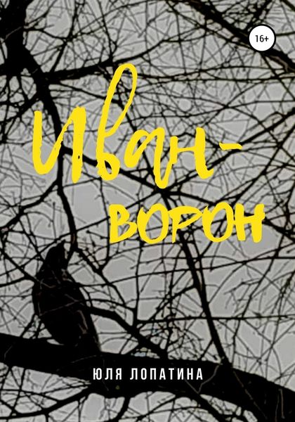 Обложка книги  «Иван-ворон»