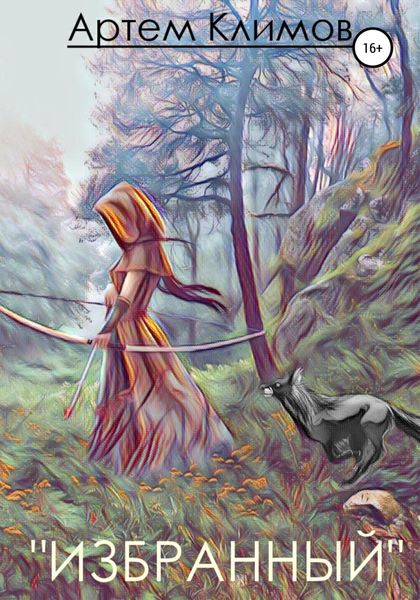 Обложка книги  «Избранный»