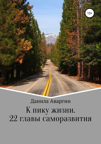 Обложка книги  «К пику жизни. 22 главы саморазвития»