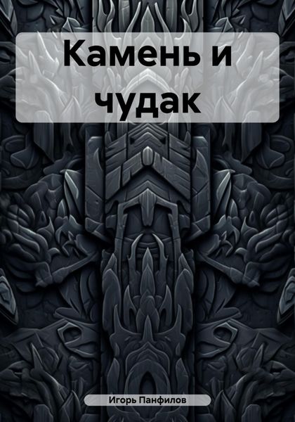 Обложка книги  «Камень и чудак»