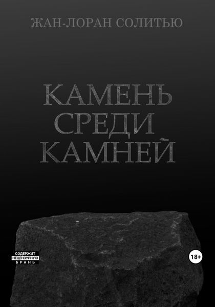 Обложка книги  «Камень среди камней»