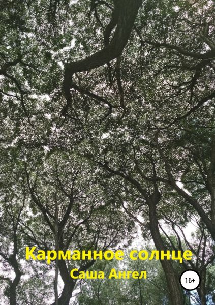 Обложка книги  «Карманное солнце»