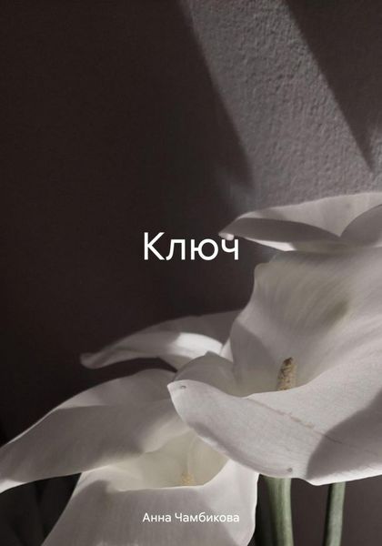 Обложка книги  «Ключ»