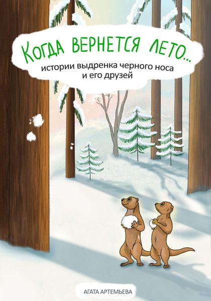 Обложка книги  «Когда вернется лето…»