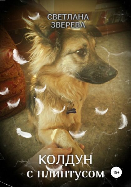 Обложка книги  «Колдун с плинтусом»
