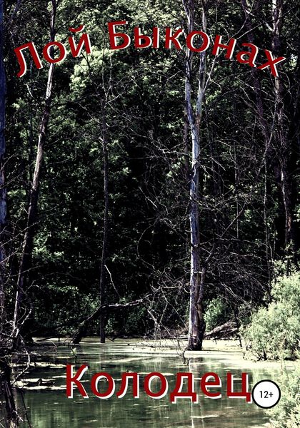 Обложка книги  «Колодец»