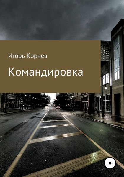 Обложка книги  «Командировка»