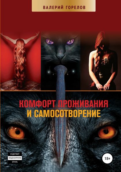 Обложка книги  «Комфорт проживания и самосотворение»