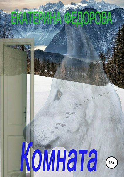 Обложка книги  «Комната»