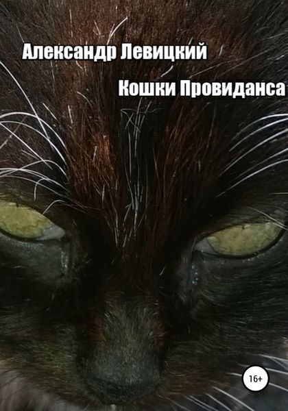 Обложка книги  «Кошки Провиданса»