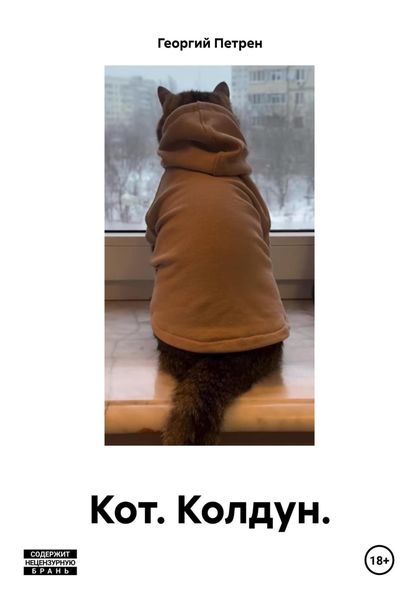 Обложка книги  «Кот. Колдун.»