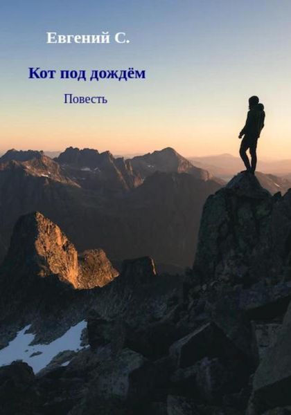 Обложка книги  «Кот под дождём»