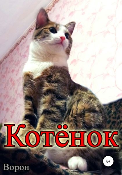 Обложка книги  «Котёнок»