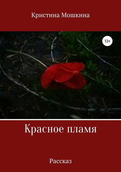 Обложка книги  «Красное пламя»