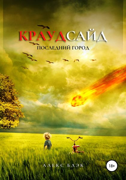 Обложка книги  «Краудсайд»
