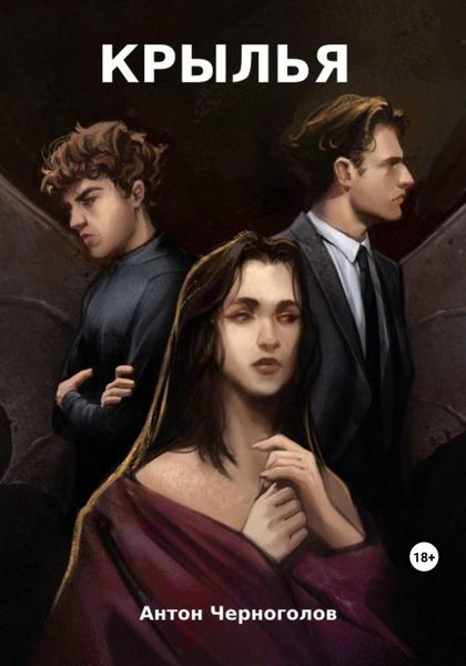 Обложка книги  «Крылья»