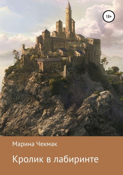 Обложка книги  «Кролик в лабиринте»