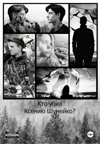 Обложка книги  «Кто убил Ксению Шумейко?»
