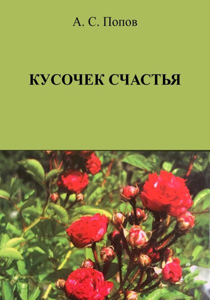 Обложка книги  «Кусочек счастья»