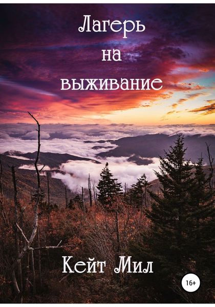 Обложка книги  «Лагерь на выживание»