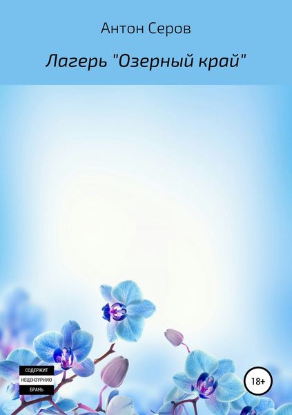 Обложка книги  «Лагерь «Озерный край»»