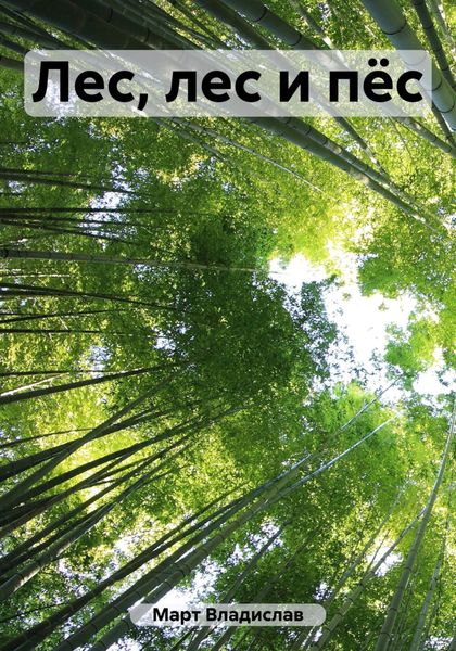 Обложка книги  «Лес, лес и пёс»
