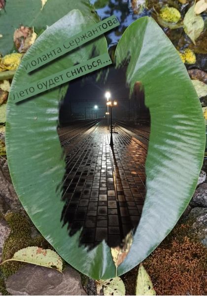 Обложка книги  «Лето будет сниться…»