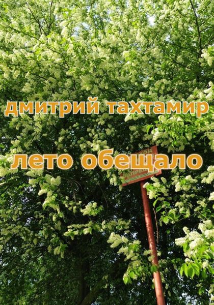 Обложка книги  «Лето обещало»