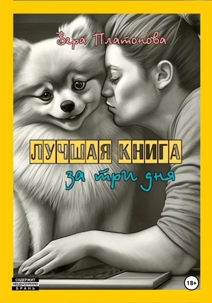 Обложка книги  «Лучшая книга за три дня»