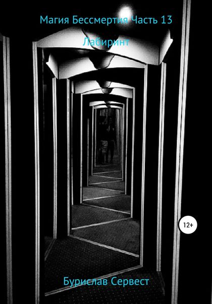 Обложка книги  «Магия Бессмертия. Часть 13. Лабиринт»