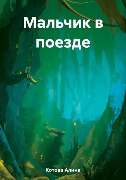 Обложка книги  «Мальчик в поезде»