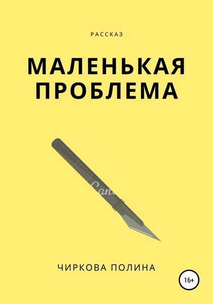 Обложка книги  «Маленькая проблема»