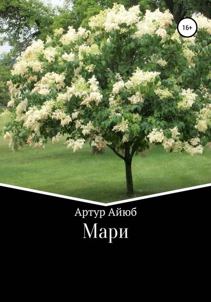 Обложка книги  «Мари»