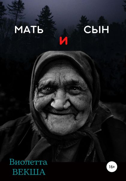 Обложка книги  «Мать и сын»