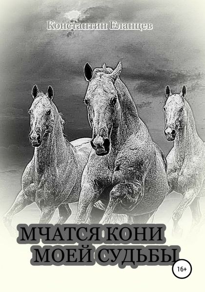 Обложка книги  «Мчатся кони моей судьбы»
