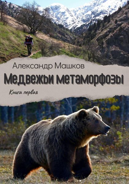 Обложка книги  «Медвежьи метаморфозы»